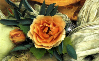 Старомодное украшение на корсаж из садовых роз