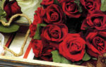 Миниатюрный венок — валентинка из живых роз